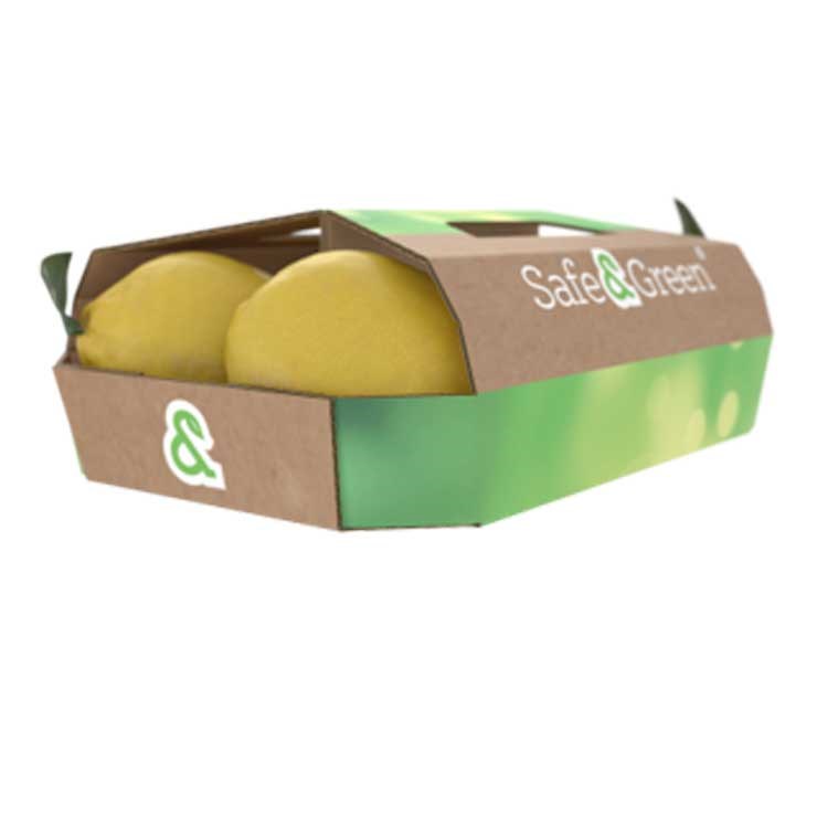carrypack-Punnet-Lemons